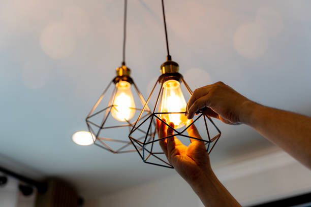 Best Ceiling Fan Installation Electrician  in Fort Plain, NY
